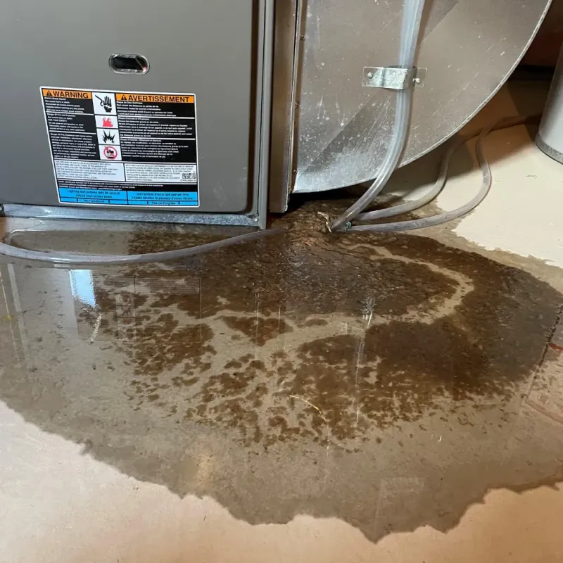 Appliance Leak Cleanup in North Terre Haute, IN